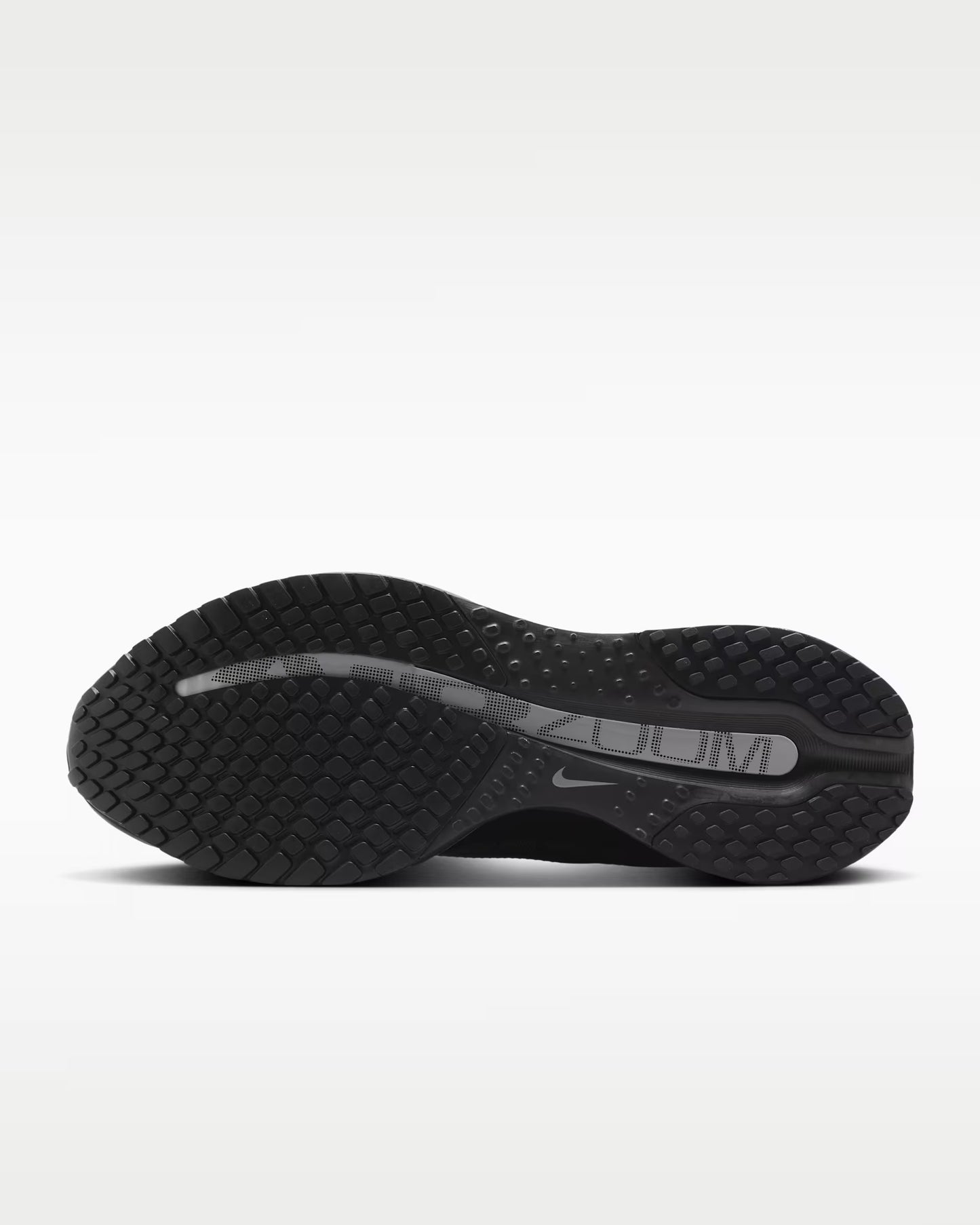 Nike Pegasus Premium Black