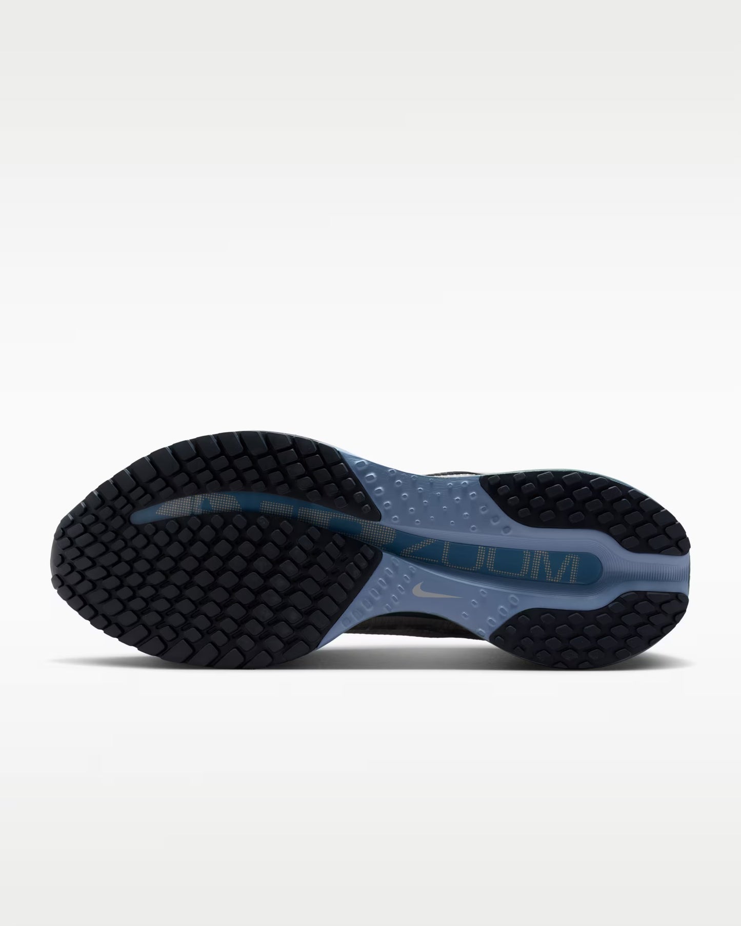 Nike Pegasus Premium Obsidian Myst